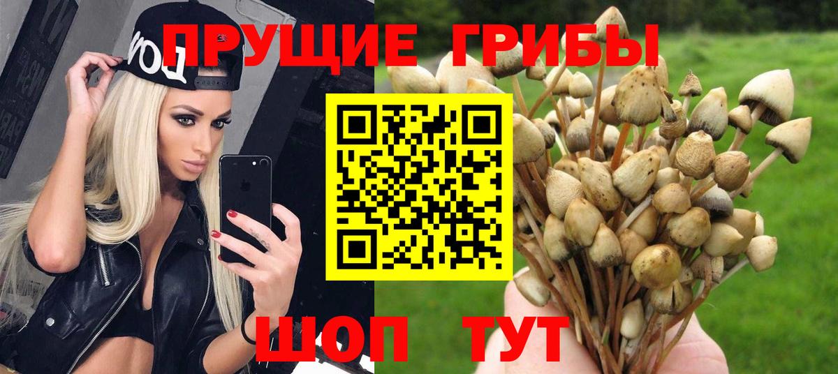 Галлюциногенные грибы MAGIC MUSHROOMS Миасс